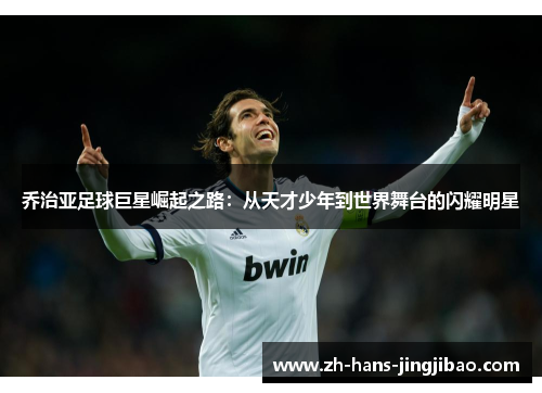 乔治亚足球巨星崛起之路：从天才少年到世界舞台的闪耀明星