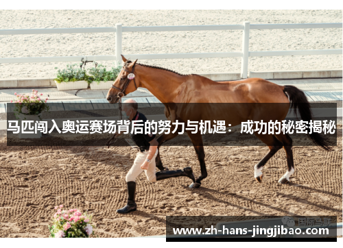 马匹闯入奥运赛场背后的努力与机遇：成功的秘密揭秘